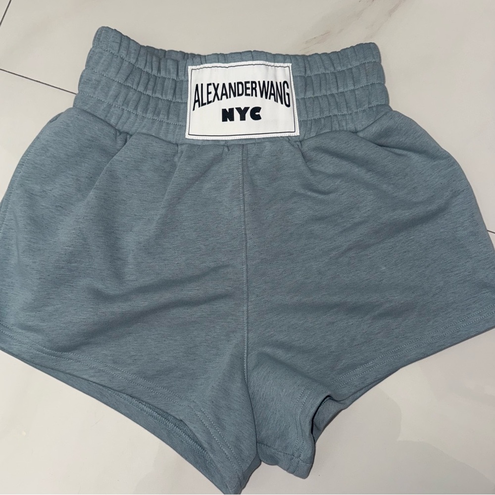 Alexander Wang Light Gray Garment
